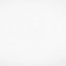 María Angélica Fuentes