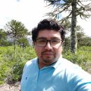 David Gustavo Lincoqueo