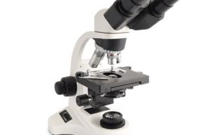 VENTANA AL MUNDO MICROSCÓPICO