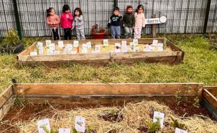 EDUCA YA CUIDANDO LA BIODIVERSIDAD DE NUESTRO ENTORNO