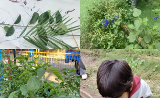 LA NATURALEZA NUESTRA MAESTRA